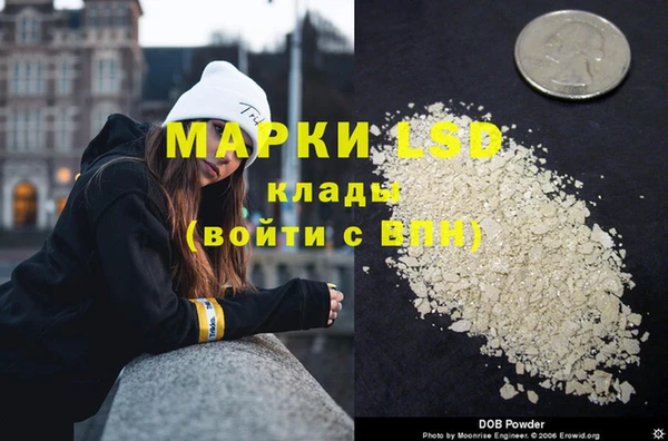 твердый Коряжма