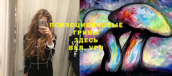 мет Вяземский