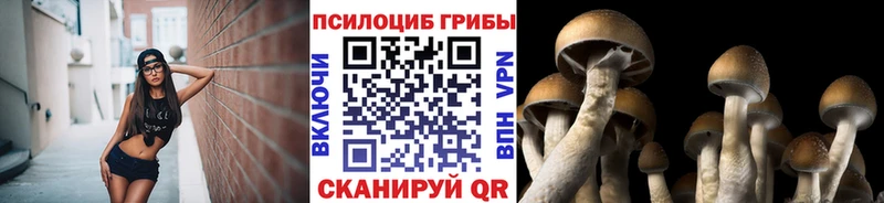 KRAKEN ссылки  купить   Иланский  Псилоцибиновые грибы MAGIC MUSHROOMS 